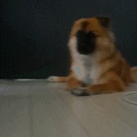 멍<b>머이</b> 멍때리기