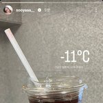 지수 얼죽아 <b>지리네</b>