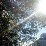 [타로] 최근의 타로리딩