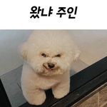 <b>어서</b>와 좀 늦었네??ㅎㅎ