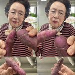 [드루와] 샤워할 때 <b>욕실화</b> 신는다 vs 안신는다