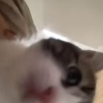 [19] 대한민국 망했으면 좋겠음