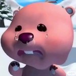 1년 4개월 일 한 <b>애견</b>카페 그만둔다
