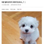이사오기 전 친구가 너뮤 그리움
