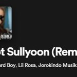 실트에 #<b>JYP</b>_설윤_보호해 해시태그가 뜬 이유