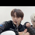 제<b>로즈들</b> 이 사진 원본 좀ㅠㅠ