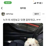 이강아지 진짜 공혁<b>준이</b>랑 똑같지않음?