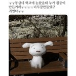 [댓글부탁해] 얘들아 흰둥이 눈사람 좀 <b>보삼</b>