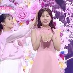 강혜원이 <b>태생</b> 뚝딱이는 아니였네