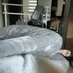 [인증] 내 남동생 나 너무 조아함