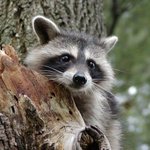[모두드루와] 가요대전 최고의 남<b>돌</b> <b>여돌</b> 뽑아보자