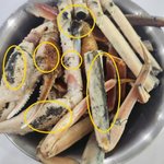 고교생에 '썩은<b>대게</b>' 판 노량진수산시장 상인, 영업 잠정 중단