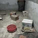 [이것좀봐줘] <b>캣맘</b>의 문제