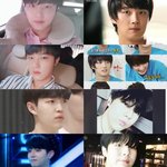 내이상형 소나무야??