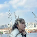 르세라핌 <b>사쿠라</b> 인스타 업데이트