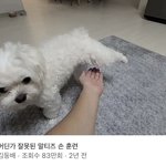 친구 손목에 자해<b>흉터</b> 있으면 어떰