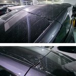 현재 난리난 테슬라 모델Y RWD 근황