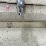 화장실에 <b>라면</b>버린놈 누구냐;