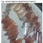 [이것좀봐줘] 겨울제철방어회 이게 맞나요?