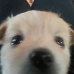 얘<b>두라</b> 미용실 기장추가잇잖아