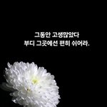 故이선균 애도 “아까운 배우, 기사 보는 순간 <b>심장</b> 멈추는 듯”