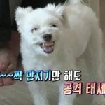 <b>화학</b> 고석용 vs 정훈구