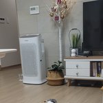 우리집에 사람처럼 웃는 고양이 있다