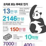 <b>숫자</b>로 보는 푸바오 인기