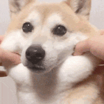 나만 내 <b>mbti</b> 알려주기 싫냐