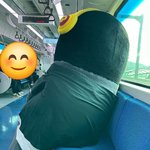 실시간 <b>펭수</b> 근황