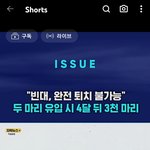 <b>빈대</b>수준봐..