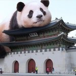 서울 한복판 거대 괴수 <b>출현</b>