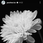 <b>이연희</b> 인스타 업뎃 (이선균 추모)