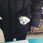 [드루와] 나 트위터 <b>넴</b><b>드</b>인데