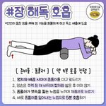 난 근 4년간 거의 하루도 빠짐없이 판 들어옴