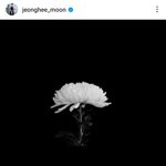 추모하는 배우 <b>문정희</b> 인스타