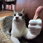 너 <b>짱</b>!!!