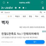 할거없으면 나무위키 이 항목 들어가봐