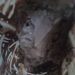 아침부터 <b>당</b><b>충전</b>중임