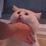 30대 여자들 예외없던 <b>진리들</b>