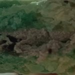 마카롱 첫트에 성공했는데 <b>소질</b>있음?