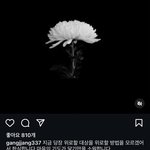 [댓글부탁해] 배우 최강희 추모 인스타 <b>업데이트</b>