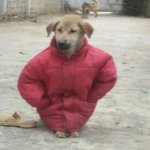 [댓글부탁해] 대학 수시로갈<b>때</b> 궁금한거