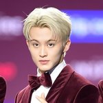 네이트판은 얘 <b>악개</b>가 먹음
