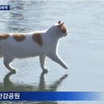 ㅎㅎ