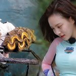 <b>이열음</b> 이제 태국 가도 돼?