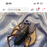 이거 친구<b>생선</b>으로 사주고싶암
