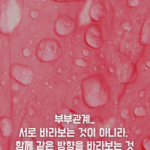부부관계_서로 바라보는 것이 아니라, 함께 같은 <b>방향</b>을 바라보는...