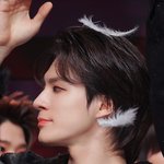 [NCT드림] 제노 머리 위에 <b>깃털</b> 떨어진것봐