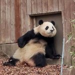 운전면허 궁금한 거 물어<b>보</b><b>셈</b>